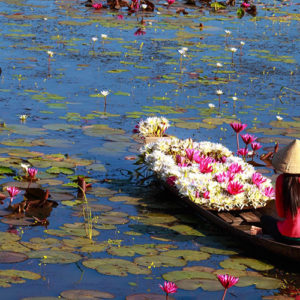 femmes chinoises sur des barques remplies de fleurs